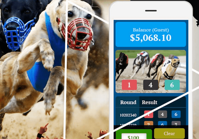  DreamzTech has developed Casino Game Software and Gambling Platform for a South Africa Based Casino and Betting Gaming Startup 